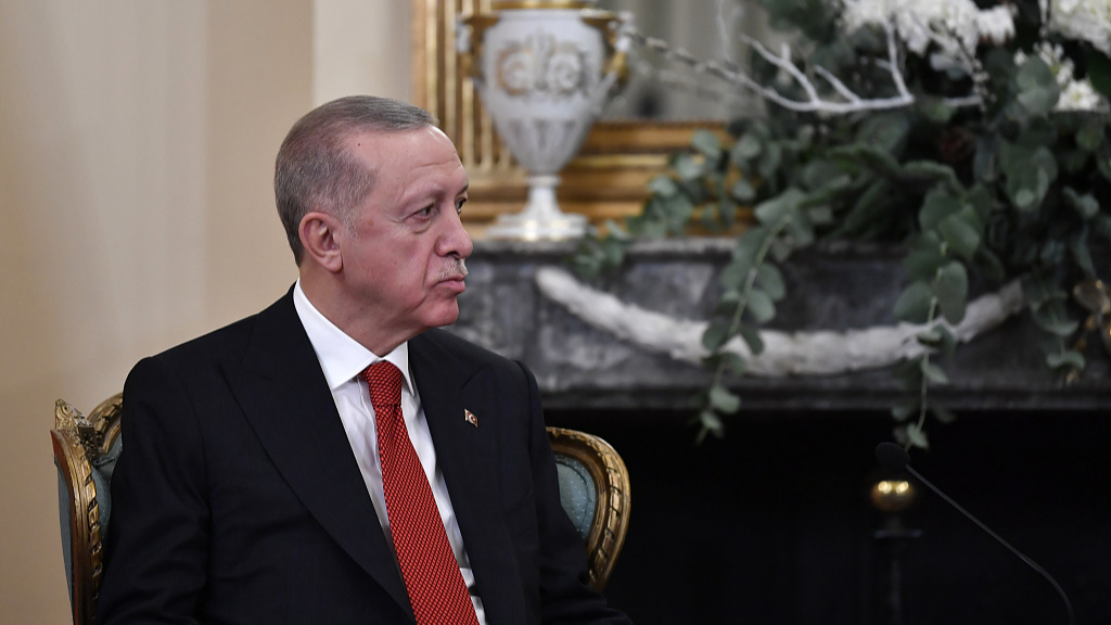 Erdogan says Türkiye ready to host Russia-Ukraine peace summit during Zelensky's visit